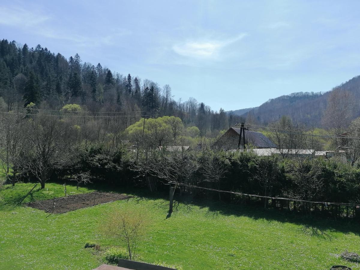 Agroturystyka Pod Kasztanem Lutowiska Exterior photo