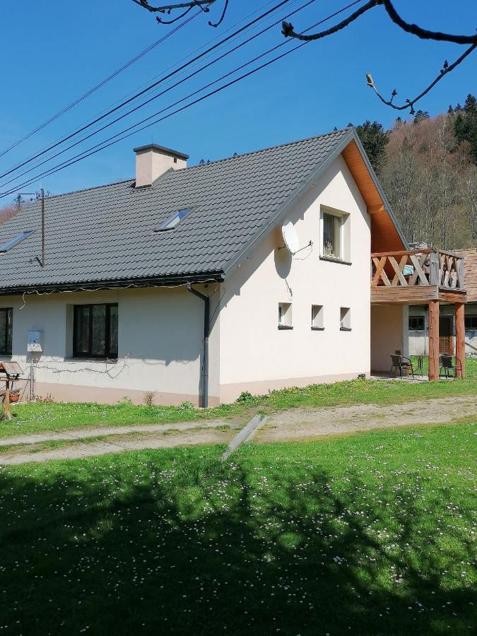 Agroturystyka Pod Kasztanem Lutowiska Exterior photo